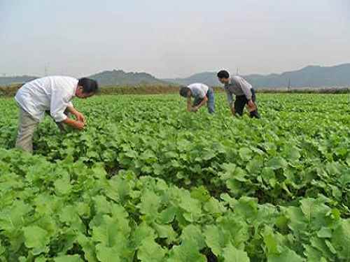 ���Ϲ����ؿ�ѧָ��������ħ���ﶬũҵ�Ȳ���չ