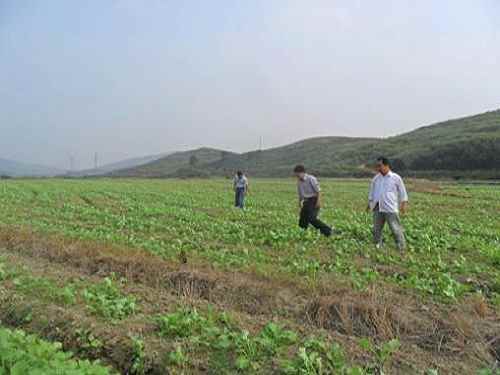 ͼ����������̫����߲�����ʾ��Ƭ��Ķ����Ͳ��硣