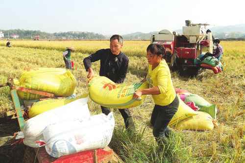 ���������ذ���ũ����������