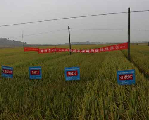 ����������2014��������Ʒ��չʾ�ֳ���Ħ���ٿ�