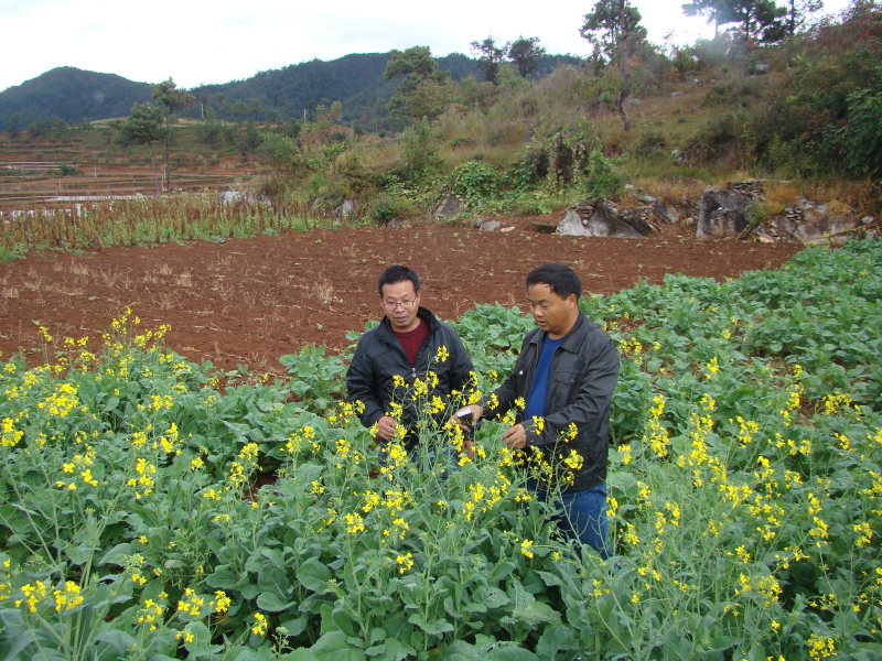 ������Ϫ��ũ��Ժר�ҵ�������ָ���粥�Ͳ�����ʾ�����幤��