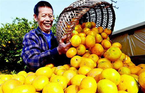 �������������ա�������ũ