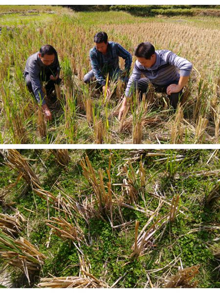 ����������ر���������������Ŀ˳��