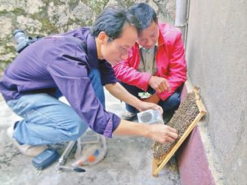 ����ʡũ�ִ�ר�ҿ���챳�з�