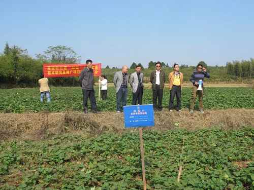 �������������䷽ʩ���ֻ�ר��ϵͳ�ٺ�������