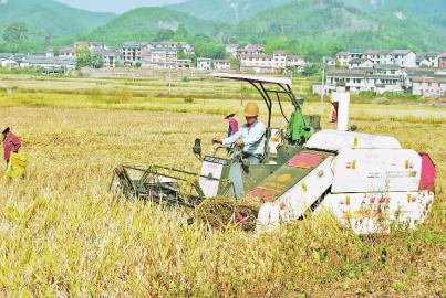 �������֣�258̨�ո����������