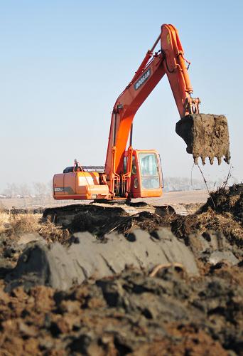 ���֣���ץ���� ��ʵ��ʳ��������