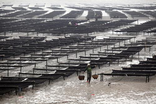 �������һ��һƷ�������ϲ��¸�·