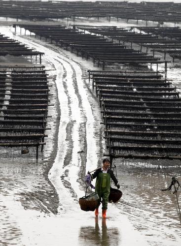 11��12�գ��ڸ���ʡ�����н�ɽ�壬���񽫲��յ��ϲ�����̲Ϳ��ֳ����