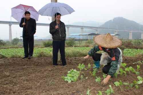 ����������ץ��������ʱ�����Ͳ�