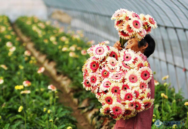 �㽭�����ֳ����л�ϲ����� ��쵻���������