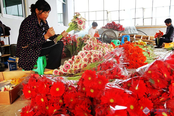 �ֳ����л�ϲ�����