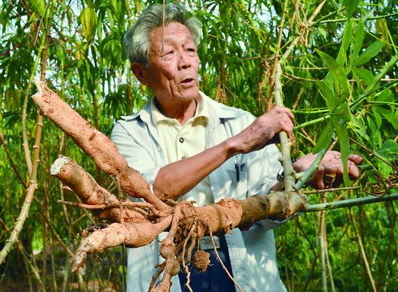 �������Σ�ƶ�ɽ�ش��ľ����