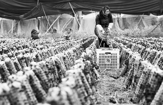 �㽭��ˮ���������ֺ�ũҵ����ˮ��