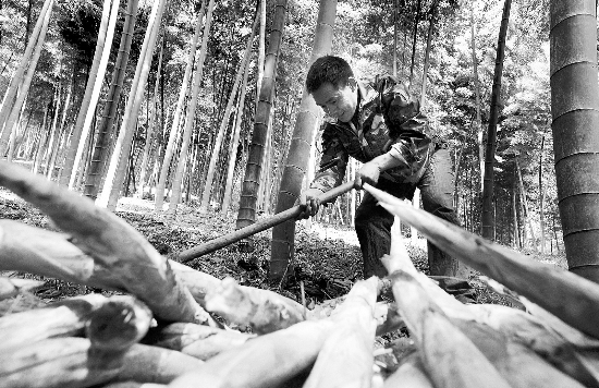 �㽭��ˮ���������ֺ�ũҵ����ˮ��3