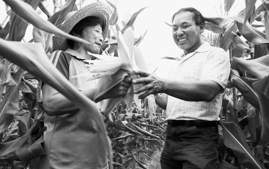 �㽭��ˮ���������ֺ�ũҵ����ˮ��4