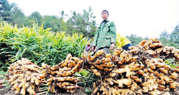 ����Ȫ�ݣ��½������ �Ͻ��ۻ���