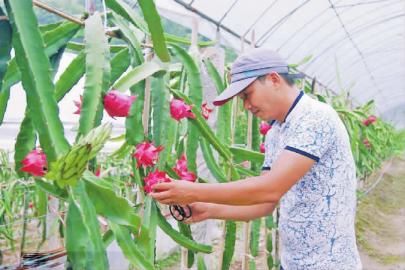 ��������÷�У�ɽ���ֳ�������