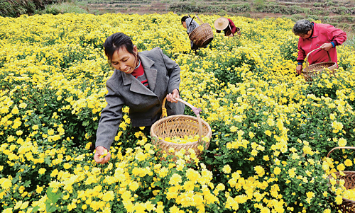 ������Դ�ջ�ʱ�ڲ�ժæ