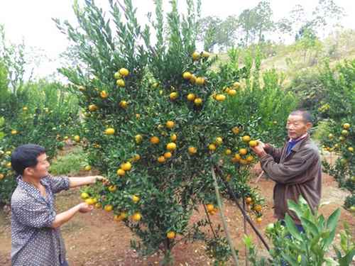 ���������أ���ժ����