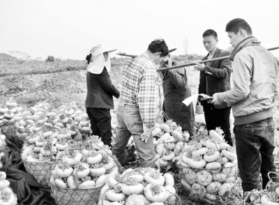 �㽭���ظɽ���ɽ�̲�����