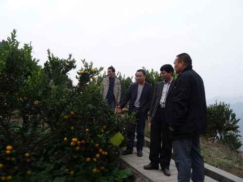 ����������ũҵ�ֵ���Ϫ�����ش�ũҵ��Ŀ����ʮ���塱ũҵ��չ�滮