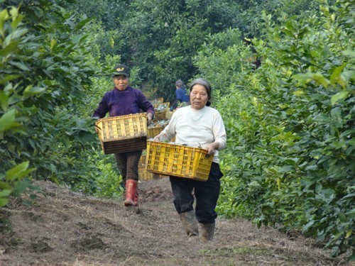 �Ĵ�����800Ķ������Ʈ�� ���ڶ��ο͹��Ͳ�ժ