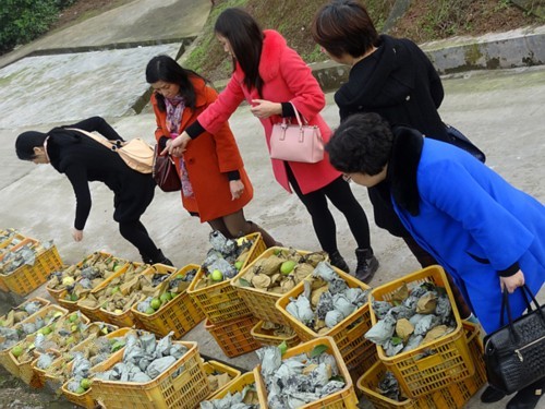 �Ĵ�����800Ķ������Ʈ�� ���ڶ��ο͹��Ͳ�ժ2