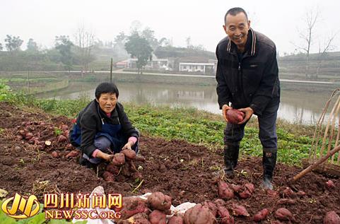 �Ĵ��˱���Ϫ�ֵ���2000Ķ����ϲ�����