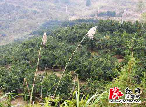 ���ϱ����ش���������������ϲ��