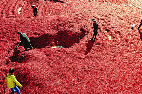 ɽ��ԫ����Ӣ����5000Ķ����ϲ�����