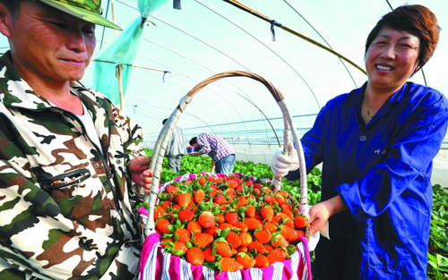 �㽭������ݮ����