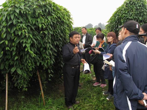 ������Ϫ����ɽ�����ܲɷ�