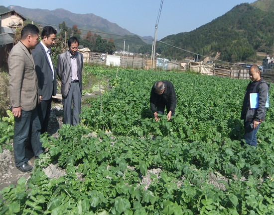 ����������ר��ָ�������ܲ�Ʒ��ѡ��