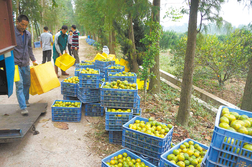 �㶫��ݸ���Ÿ��»Ṻ�̳�3�򹫽�