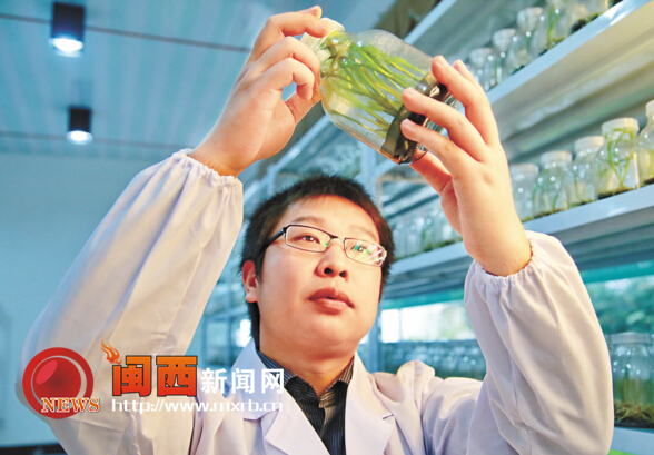 �������������Ƽ��ƶ� ��ǿ�ִ�ũҵ