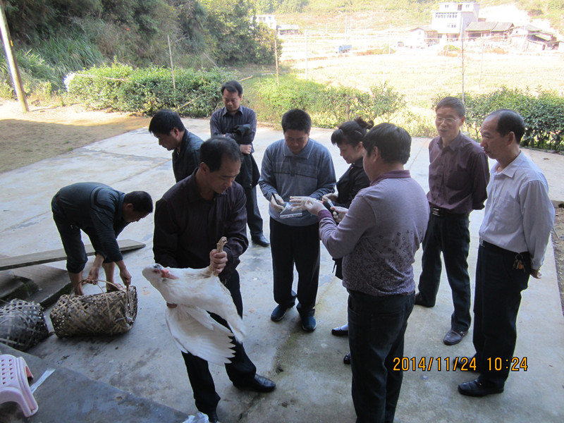 ���������о���Ա����Ϫ��鶯���������