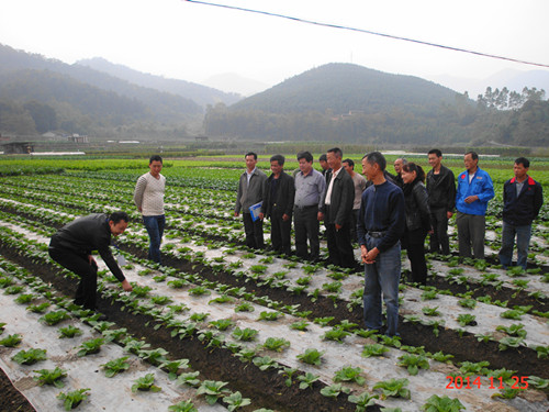 ������������Ԫ���ٰ��߲�ũ�����ѧУ