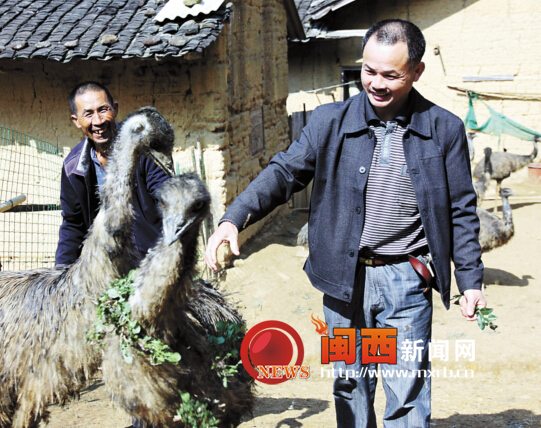 ������͡��ɽ������ũ�񴴰�������ֳ�� Ԥ��������20����