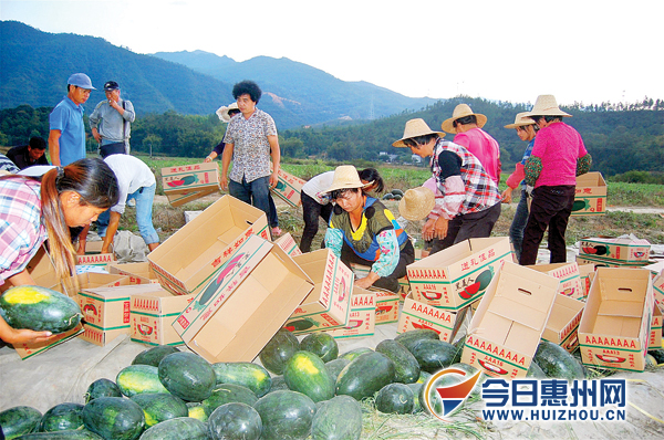 �㶫�ݶ�����ֲ���ϴ����� ����ճ�������