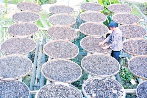 ���������أ��Ͳ�ϲ����� �������ɴ�110�򹫽�