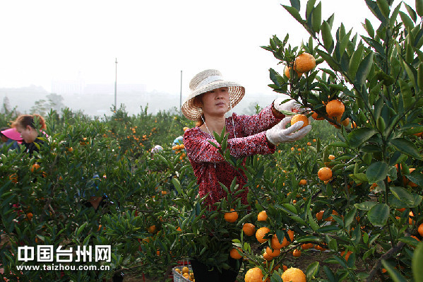 �㽭�񻷣��ֵ�һ��걸̷���ʱ