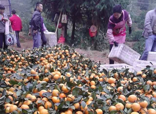 ������Ϫ���������Ÿ�������