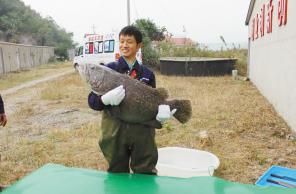 �㽭������80����ްԡ�ʯ���㡰�ʡ�����