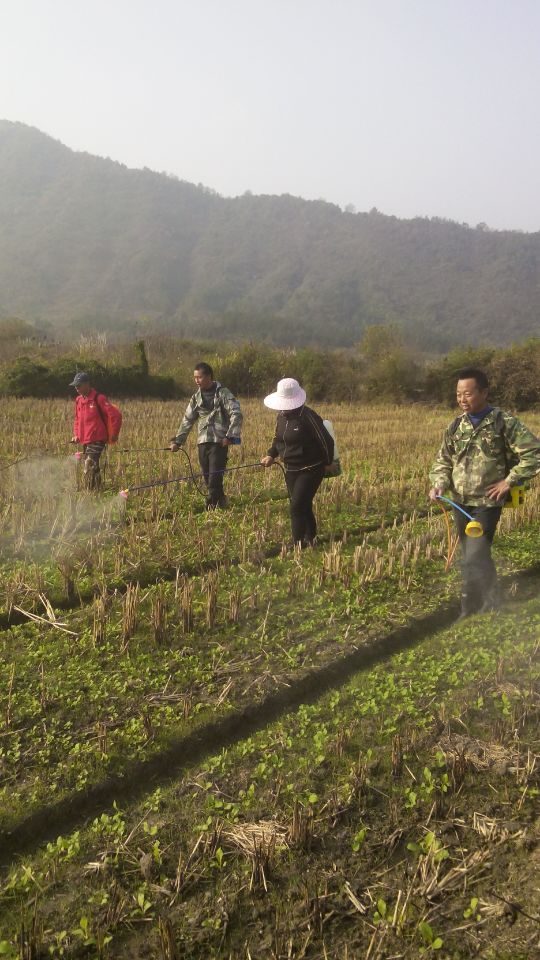 ���������ؼ�ǿ�Ͳ˵�������