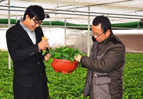 ������ũרҵ�����繤����Ա�׿��ܣ�����ɽ������ʯϻũҵ�����缼����Ա���������������鿴���ܵĳ��ơ�