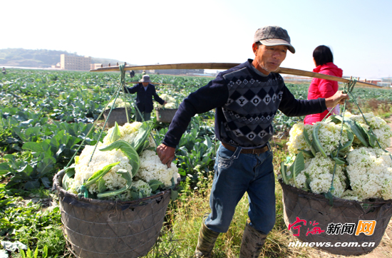 �㽭�����߲�ֱ���Ϻ�