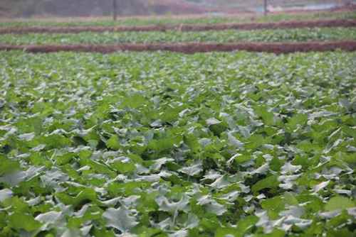 ���Ϻ���74��Ķũ���װ��ӭ��