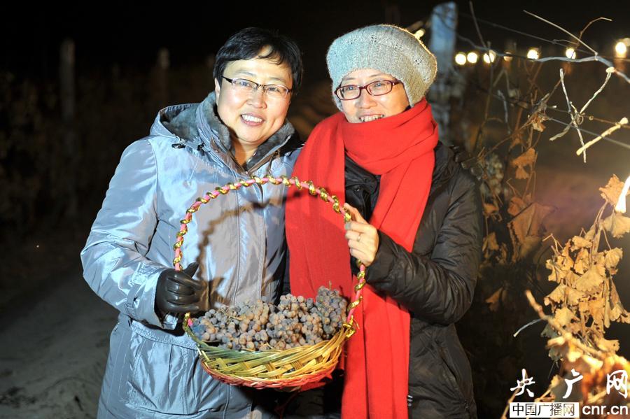 ���ư����߲����ժ����������� ���� �㣩