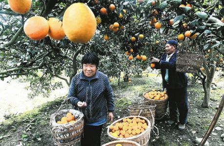 �Ĵ��40�򹫽����û���� �ͱ�Ԥ��һ��